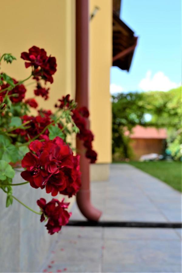 Rozsi Mama Villa Szováta Kültér fotó
